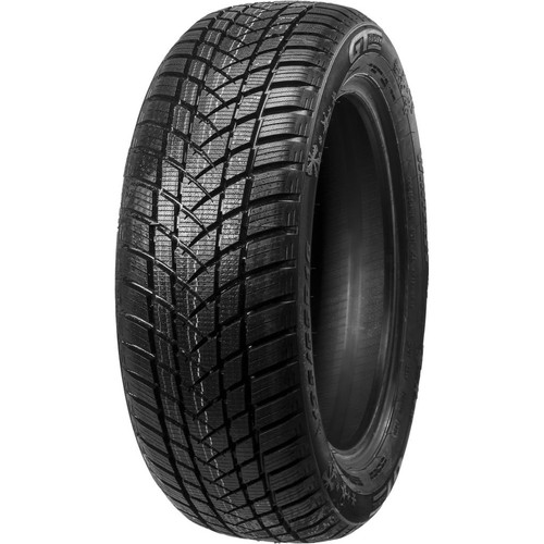Radial winterpro m - gt-radial, 2